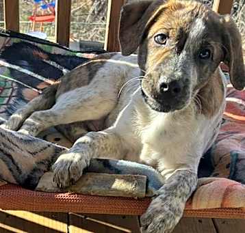 Photo of Patch