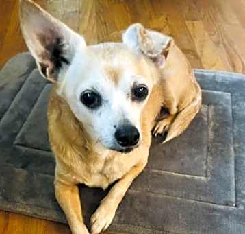 Photo of Lola