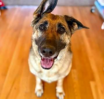 Photo of Roxee