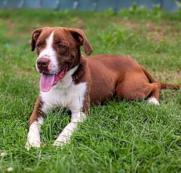 Photo of Hershey