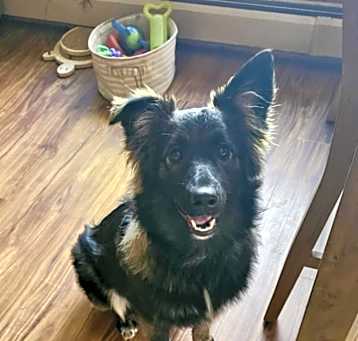 Photo of Fiona