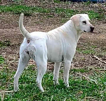 Photo of Ruth