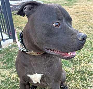 Photo of Zeus