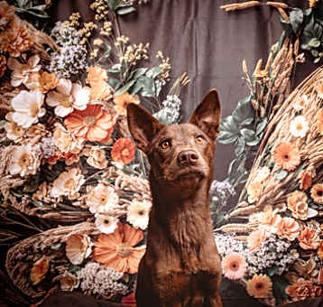 Photo of Corina