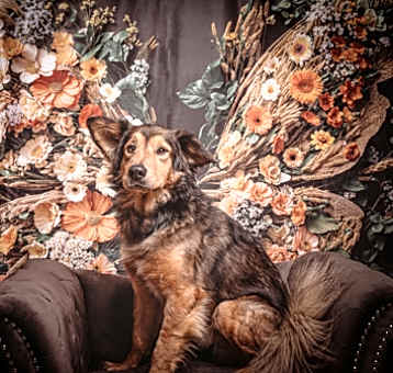 Photo of Junior