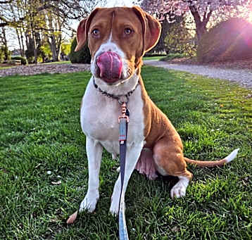 Photo of Chloe