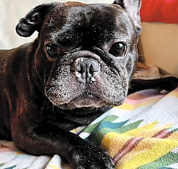 Photo of Tater