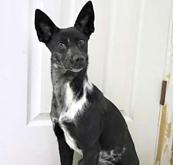 Photo of Muneca