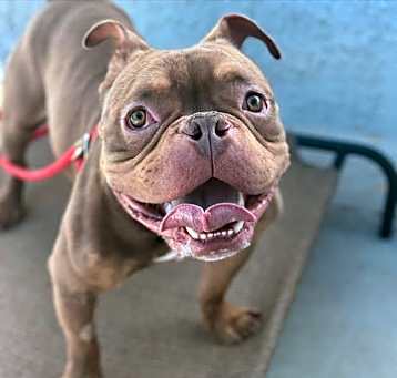 Photo of Spanky