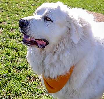 Photo of Brew