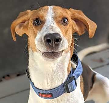Photo of Mr. Wiggins