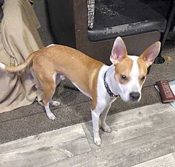 Photo of JR