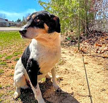 Photo of Suzie