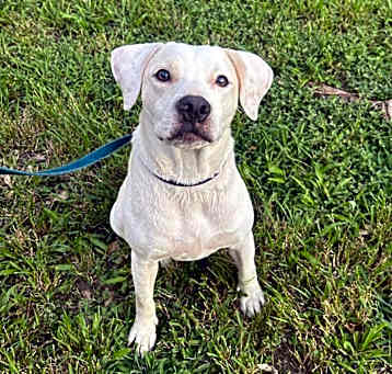 Photo of Casper
