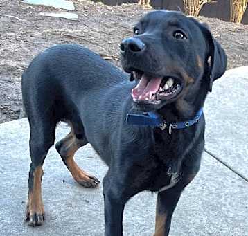 Photo of Maximus