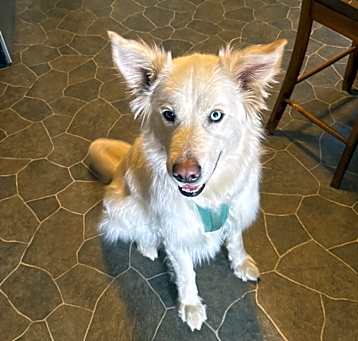 Photo of Myles