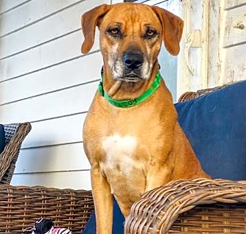 Photo of Daisy Mae