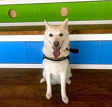 Photo of Parker