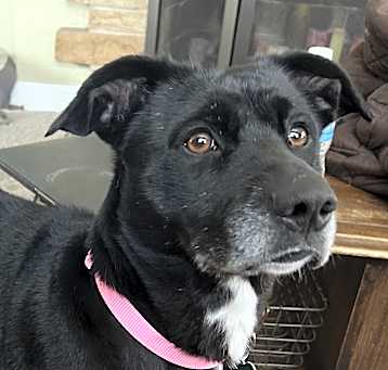 Photo of Gabby