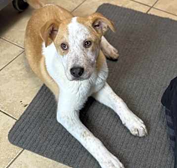 Photo of Lugnut