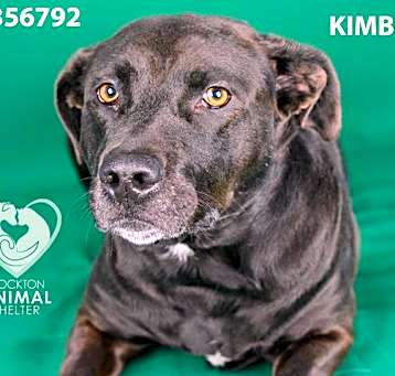 Photo of KIMBERLY