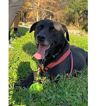Photo of OSO