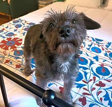 Photo of Thelma