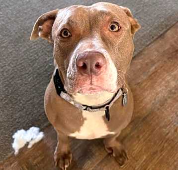Photo of Athena