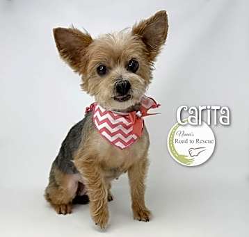 Photo of Carita
