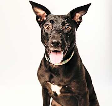 Photo of Zuki