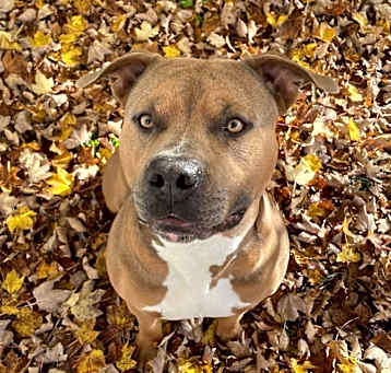 Photo of Zeus