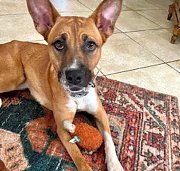 Photo of Zora