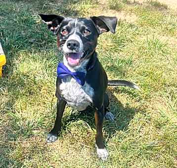 Photo of Frito