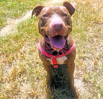 Photo of Hope