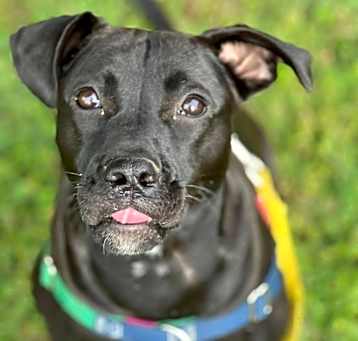 Photo of Tootsie