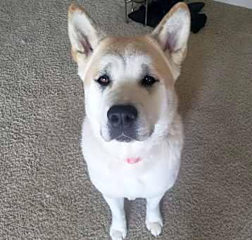 Photo of Nana