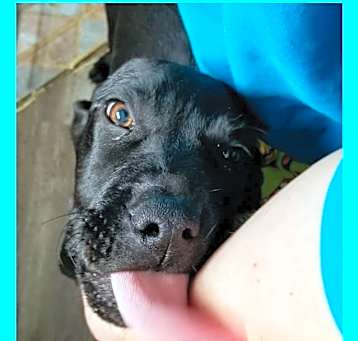 Photo of Ghost