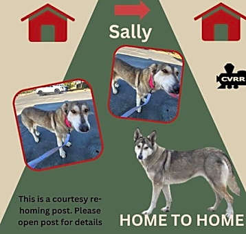 Photo of *Sally (Home to Home)