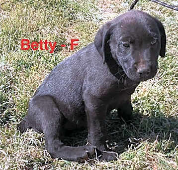 Photo of Betty