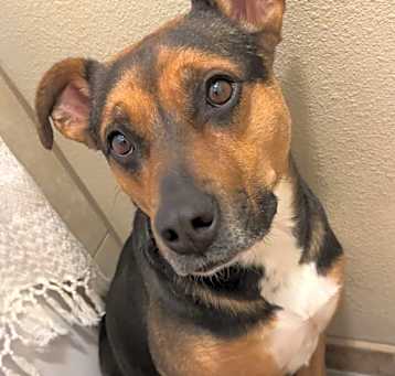 Photo of Nova