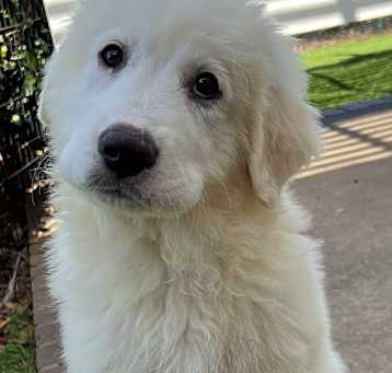Photo of Arya