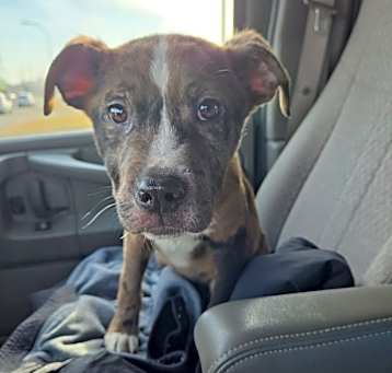 Photo of Leroy