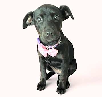 Photo of MAGGIE