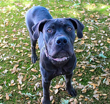 Photo of Athena