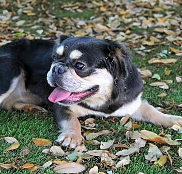 Photo of Kayla