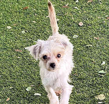 Photo of Quincy