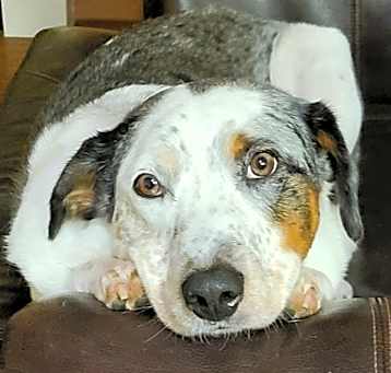 Photo of Jake