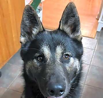 Photo of Perseus