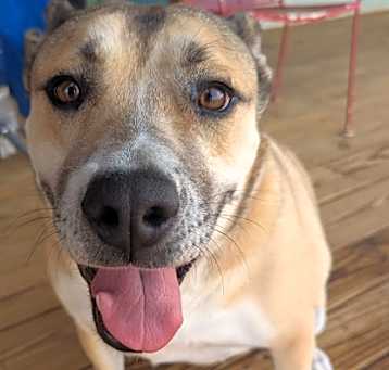 Photo of Missy