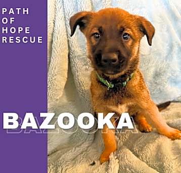 Photo of Bazooka